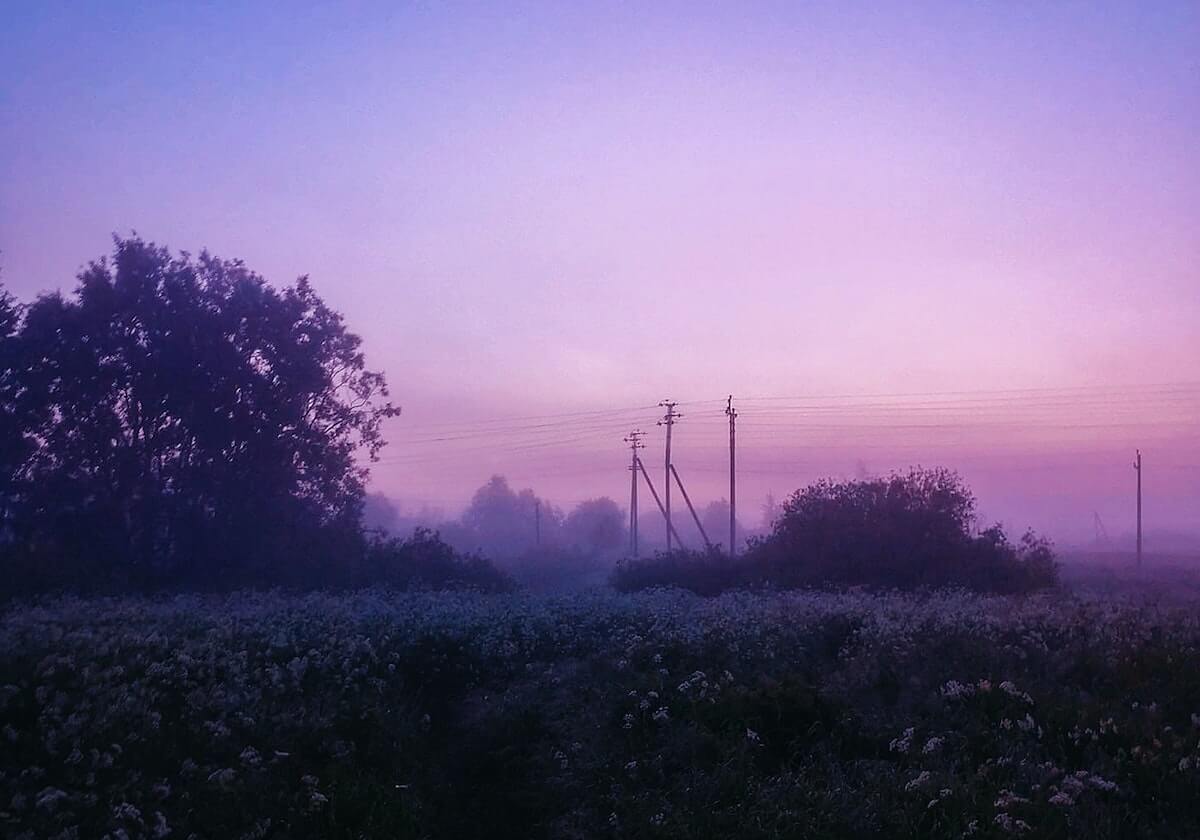 xingkong.com-香港金牛队官方分享集锦：卡尔顿砍下28分拿到15篮板